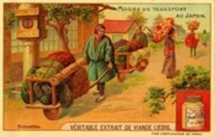 Free download 1905. Brouttes, Chevaaux, Johque, Le Kago, Richchah, Volture Trading Cards free photo or picture to be edited with GIMP online image editor