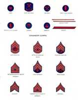 Free download (1907) United States Army Branch and Rank Insignia free photo or picture to be edited with GIMP online image editor