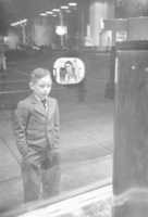 Free download 1948 Boy Watches TV free photo or picture to be edited with GIMP online image editor