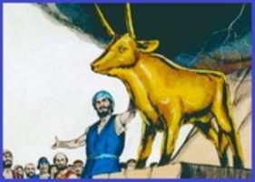 Free download 1 The Golden Calf free photo or picture to be edited with GIMP online image editor