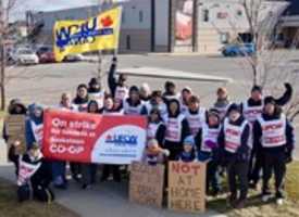 Free download 2018 Coop Strike Pictures free photo or picture to be edited with GIMP online image editor