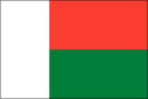 Free download 800px Flag Of Madagascar (bordered).svg free photo or picture to be edited with GIMP online image editor