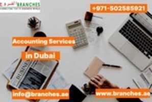 Free download Accounting Services In Dubai free photo or picture to be edited with GIMP online image editor