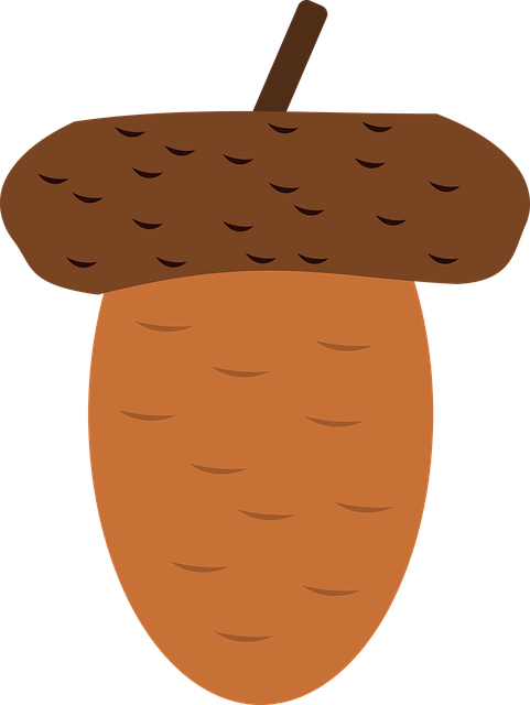 Free download Acorn Oak Autumn - Free vector graphic on Pixabay free illustration to be edited with GIMP free online image editor