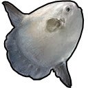 Add Ocean Fish to FF14 Fish Tracker  screen for extension Chrome web store in OffiDocs Chromium