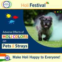 Free download Adverse Effects Of Holi Colors free photo or picture to be edited with GIMP online image editor