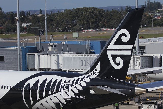 Free download airline decals air new zealand nz free picture to be edited with GIMP free online image editor