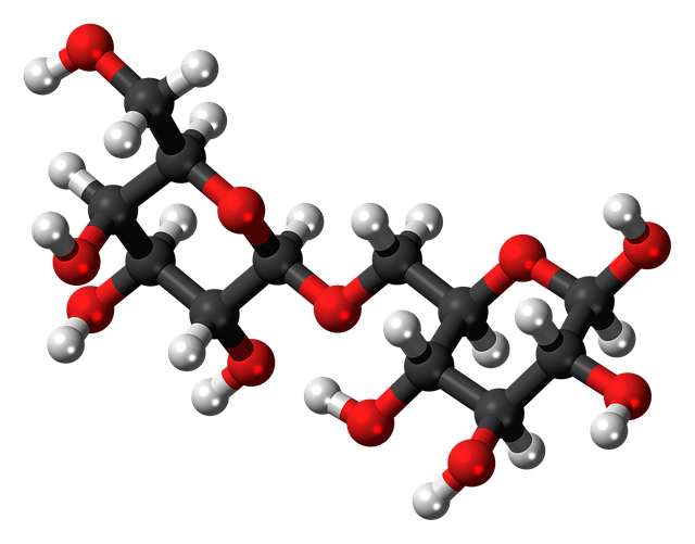 Free download Allolactose Molecule Model -  free illustration to be edited with GIMP free online image editor