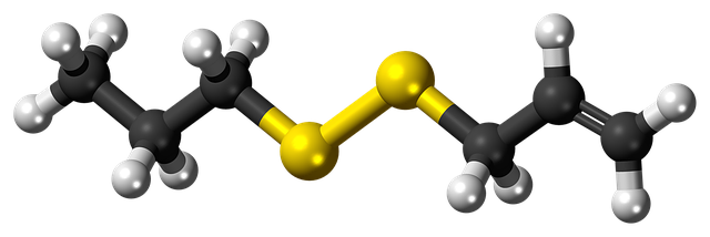 Free download Allylpropyldisulfide Molecule -  free illustration to be edited with GIMP free online image editor