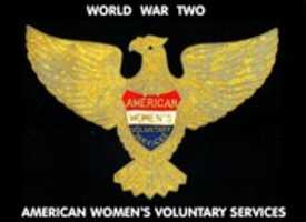 Free download American Womens Voluntary Services free photo or picture to be edited with GIMP online image editor