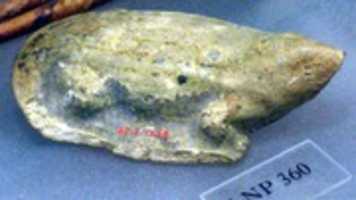 Free download Amulet of frog free photo or picture to be edited with GIMP online image editor