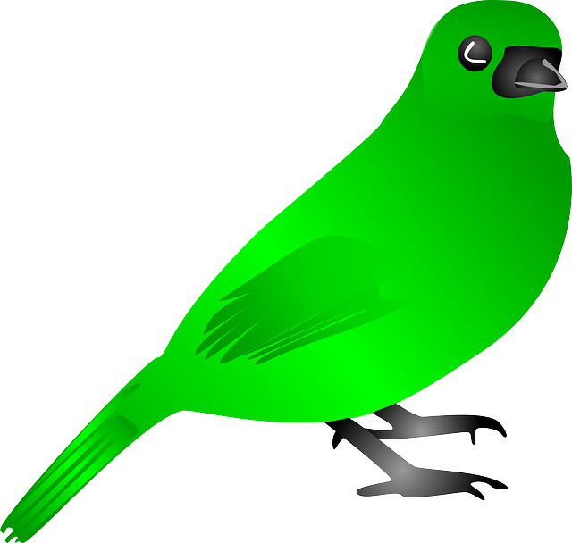 Free download Animal Bird Fly - Free vector graphic on Pixabay free illustration to be edited with GIMP free online image editor