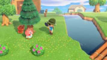 Free download Animal Crossing New Horizons screenshot free photo or picture to be edited with GIMP online image editor