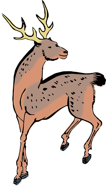 Free download Animal Deer - Free vector graphic on Pixabay free illustration to be edited with GIMP free online image editor