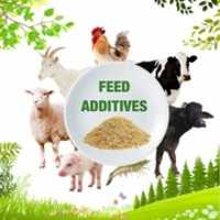 Free download Animal Feed Supplements | Poultry Feed Supplements | Cattle Feed Supplements | Swine Feed Supplements | Aqua Feed Supplements free photo or picture to be edited with GIMP online image editor