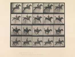 Free download Animal Locomotion.  An Electro-Photographic Investigation of Consecutive Phases of Animal Movements.  Commenced 1872 - Completed 1885.  Volume IX, Horses free photo or picture to be edited with GIMP online image editor