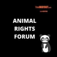 Free download Animal Rights Forum free photo or picture to be edited with GIMP online image editor