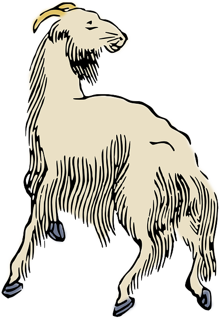 Free download Animal Sheep - Free vector graphic on Pixabay free illustration to be edited with GIMP free online image editor