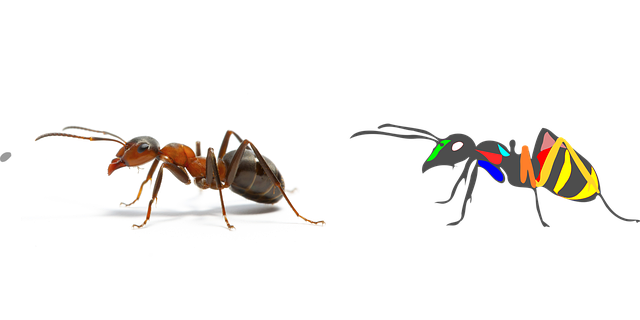 Free download Ant Vector Art 2D - Free vector graphic on Pixabay free illustration to be edited with GIMP free online image editor