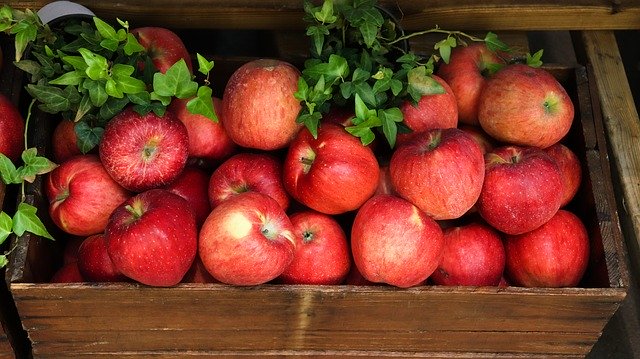 ດາວ​ໂຫຼດ​ຟຣີ Apple Asian Fruit And Korean - ຮູບ​ພາບ​ຟຣີ​ຫຼື​ຮູບ​ພາບ​ທີ່​ຈະ​ໄດ້​ຮັບ​ການ​ແກ້​ໄຂ​ກັບ GIMP ອອນ​ໄລ​ນ​໌​ບັນ​ນາ​ທິ​ການ​ຮູບ​ພາບ​