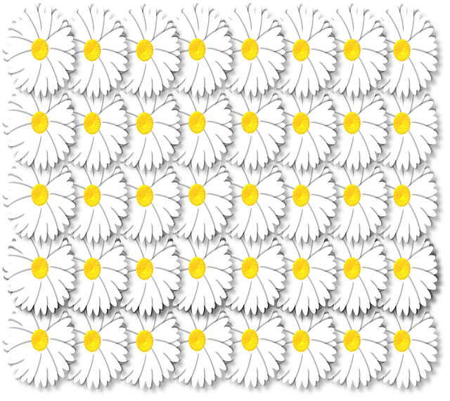 Free download Artistic Daisy Daisies -  free illustration to be edited with GIMP free online image editor