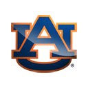 Auburn University Theme  screen for extension Chrome web store in OffiDocs Chromium