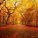 Autumn in New York  screen for extension Chrome web store in OffiDocs Chromium