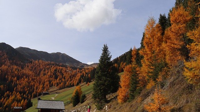 Descarga gratuita Autumn Val Casies South Tirol - foto o imagen gratis y gratuita para editar con el editor de imágenes en línea GIMP