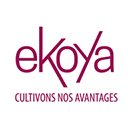 Avantages Ekoya  screen for extension Chrome web store in OffiDocs Chromium