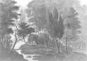 Free download A Woodland Scene (The Sun Reflecting on the Dew, a Garden Scene: Echo, Pennsylvania, A Place belonging to Mr. D. Bavarage, 1808) free photo or picture to be edited with GIMP online image editor