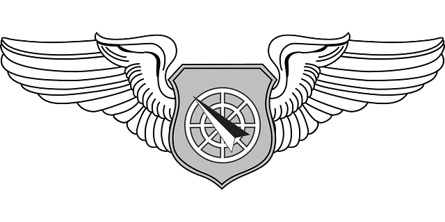 Free download Badge Usaf Insignia - Free vector graphic on Pixabay free illustration to be edited with GIMP free online image editor