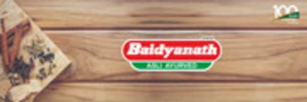 Free download Baidyanath Web Banner A ( 1) free photo or picture to be edited with GIMP online image editor