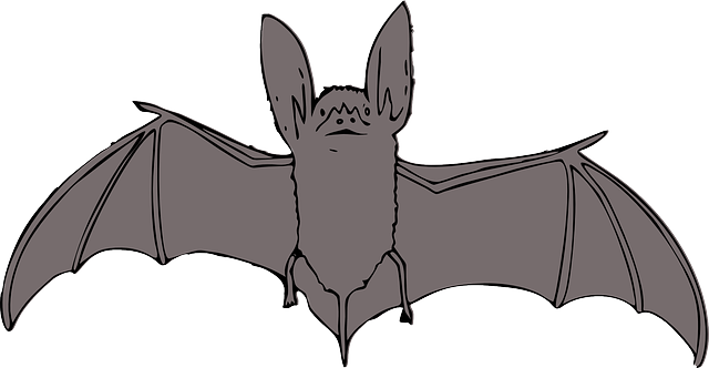 Free download Bat Animals Night - Free vector graphic on Pixabay free illustration to be edited with GIMP free online image editor