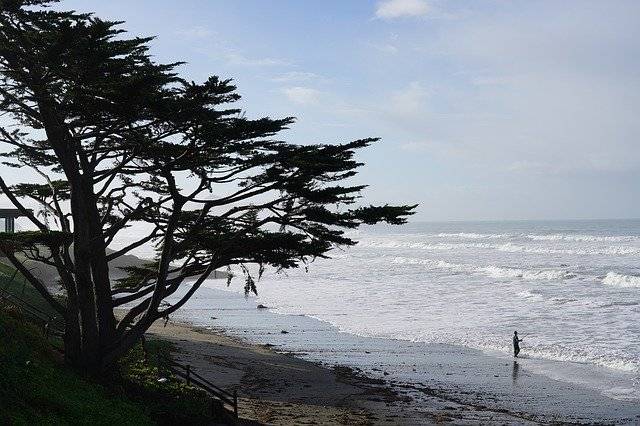 ดาวน์โหลดฟรี Beach Fisherman Surf - ภาพถ่ายหรือรูปภาพฟรีที่จะแก้ไขด้วยโปรแกรมแก้ไขรูปภาพออนไลน์ GIMP