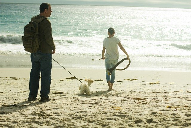 Free download beach walk walking ocean sea free picture to be edited with GIMP free online image editor