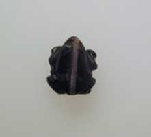 Free download Bead with frog in black agate free photo or picture to be edited with GIMP online image editor