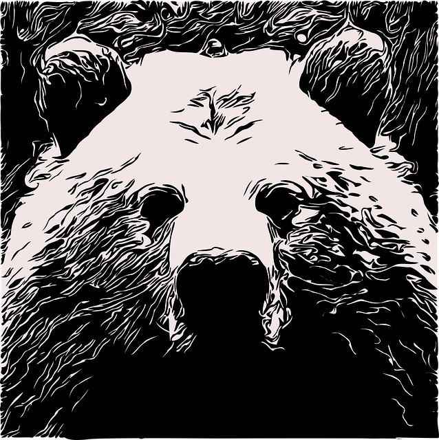 Free download Bear Animal Grizzly - Free vector graphic on Pixabay free illustration to be edited with GIMP free online image editor