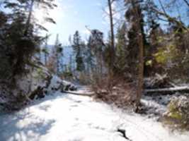 Free download Bear Creek frozen over in Midwinter free photo or picture to be edited with GIMP online image editor