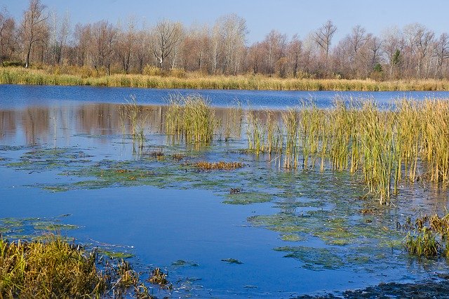 Free download beautiful nature blue lake frost free picture to be edited with GIMP free online image editor