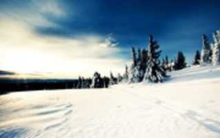 Free download Beautiful Winter Sunny Day free photo or picture to be edited with GIMP online image editor