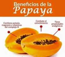 Free download Beneficios de la papaya. free photo or picture to be edited with GIMP online image editor