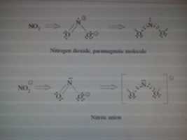 Free download benzene on the basis of the three-electron bond 2.32, nitrogen dioxide, nitrite anion free photo or picture to be edited with GIMP online image editor