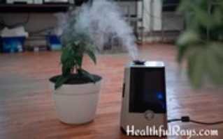 Free download Best Air Purifier In India 768x 480 free photo or picture to be edited with GIMP online image editor