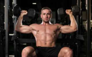 Free download Best Shoulder Exercises For Men free photo or picture to be edited with GIMP online image editor