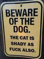 Free download Beware of the dog and shady cats free photo or picture to be edited with GIMP online image editor