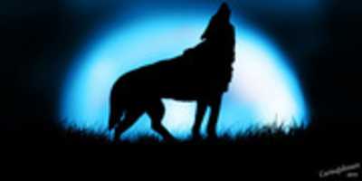 Free download big_moon_wolf_howling_by_wintha-d4h2wkw free photo or picture to be edited with GIMP online image editor