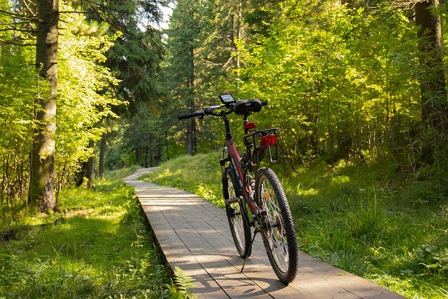 Free download bike path forest trip walk wooden free picture to be edited with GIMP free online image editor