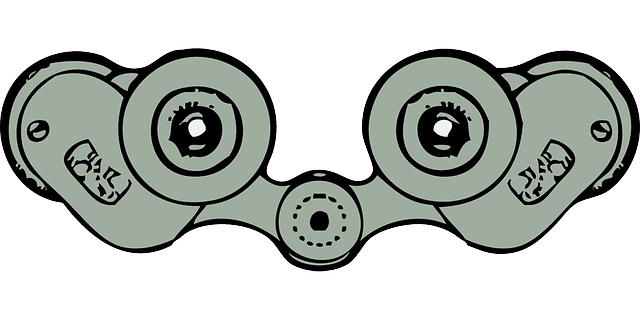 Free download Binoculars Field Glasses Opera - Free vector graphic on Pixabay free illustration to be edited with GIMP free online image editor