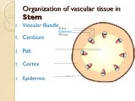 Free download biology gate gr11 free photo or picture to be edited with GIMP online image editor