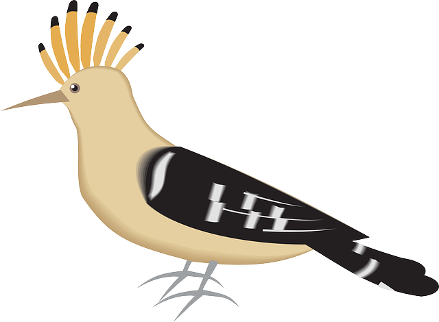 Free download Bird Hoopoe Wings - Free vector graphic on Pixabay free illustration to be edited with GIMP free online image editor